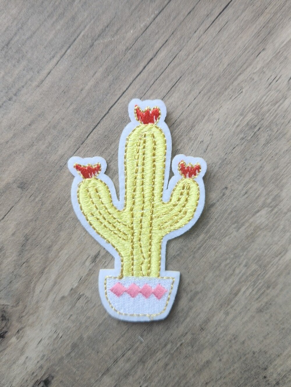 Cactus Iron-On Patch